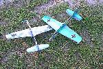 Mosquito Meeting '00