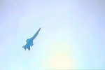 Mosquito Meeting '98
