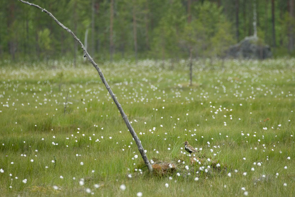 mm08-375.jpg