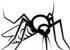 Mosquito Meeting 2025